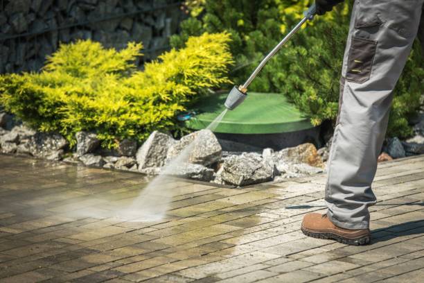 Best Parking Lot Cleaning in Milton, DE