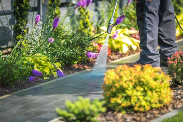 Best Residential Pressure Washing in Milton, DE